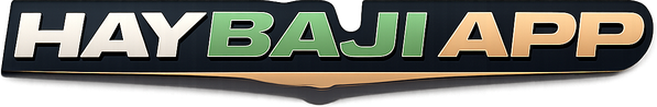 hay baji app logo